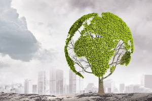 农村盖房完工不给钱如何解决